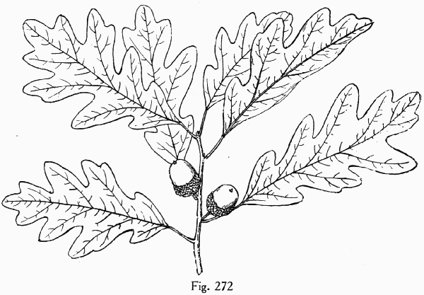 Fig. 272